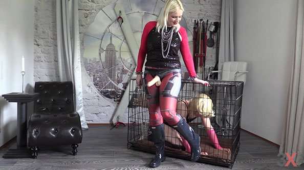 Sissy, today I fuck you in a cage! - Lady Karame | 3x-strapon.com
