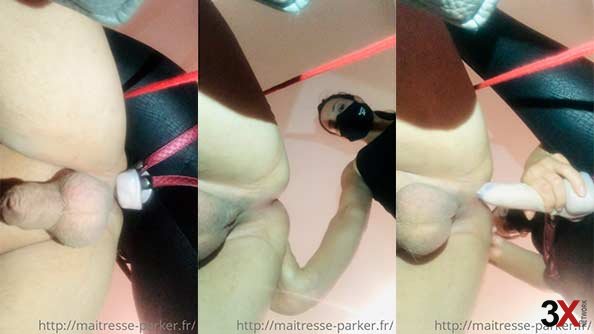Tails And Sides Long Version - Maitresse Andrea Parker