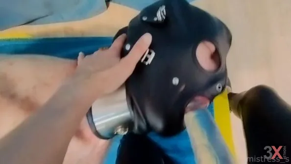 Hogtied slave really likes to suck strapon! Real amateur POV - Mistress S