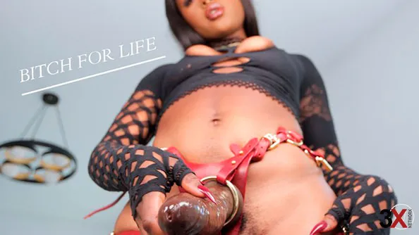 Bitch For Life - Mistress Nalini