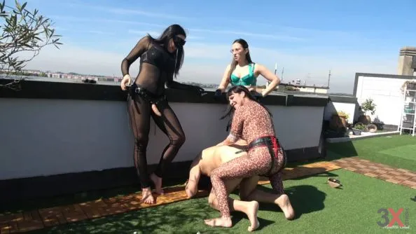 You Beg To Be Fucked - Mistress Gaia