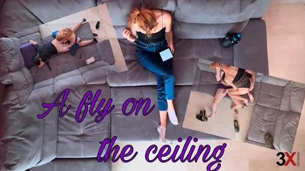 ? A fly on the ceiling - Goddess Janet