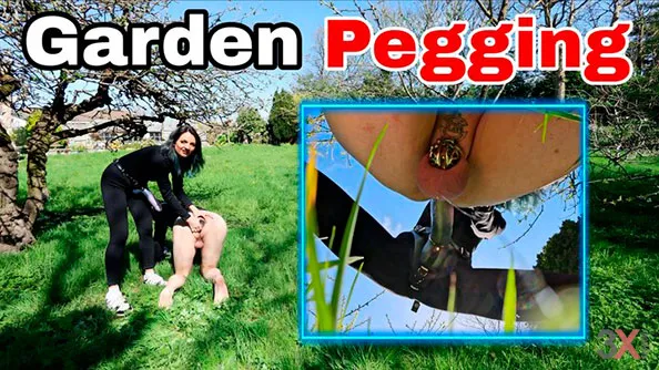 Pegging in my new Garden - Training Zero - Miss Raven and Zero
